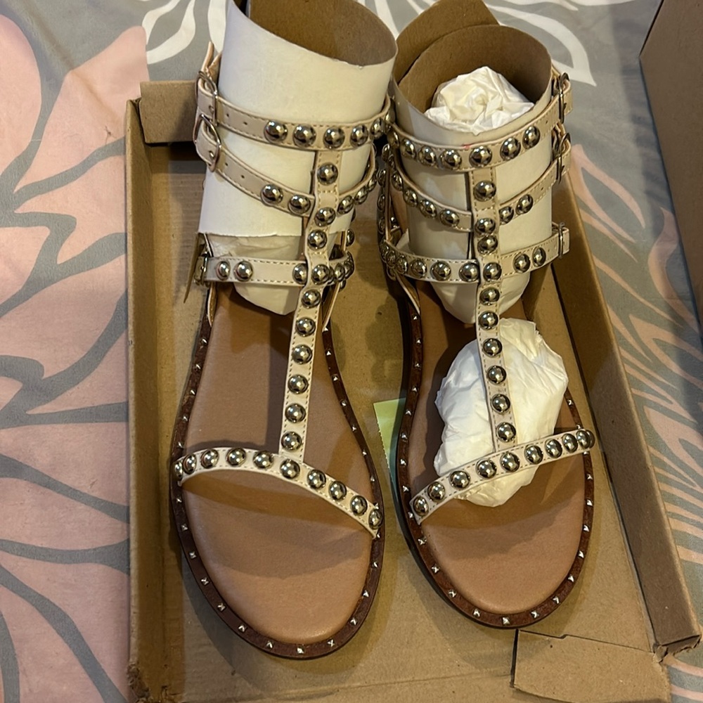 Steve Madden gladiator sandals